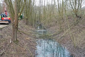 Gehölzschnitt Sprockhövel