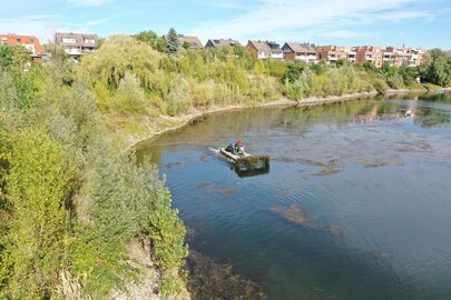 Entkrautung Greisbachsee Mäharbeiten auf dem Greisbachsee in Monheim mit dem Truxor