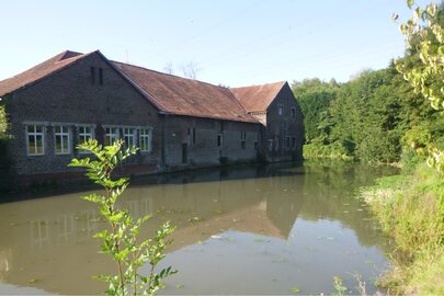 Wassergraben am Ambau von Schloss Bodelschwingh nach Seerosenschnitt