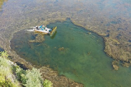 Entkrautung Greisbachsee Mäharbeiten auf dem Greisbachsee mit dem Truxor