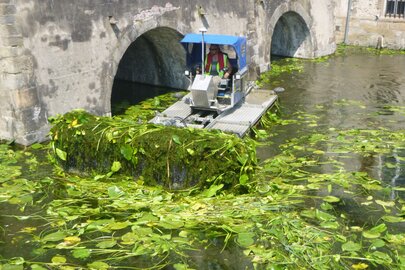 Amphibienfahrzeug Truxor beim Seerosenschnitt