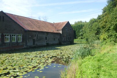 Wassergraben am Ambau von Schloss Bodelschwingh vor dem Seerosenschnitt
