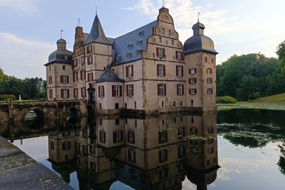 Wassergraben von Schloss Bodelschwingh nach Seerosenschnitt
